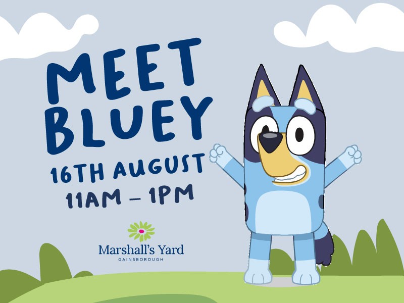 Meet & Greet Bluey Saturday 16th August